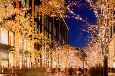 Christmas Lights Pros